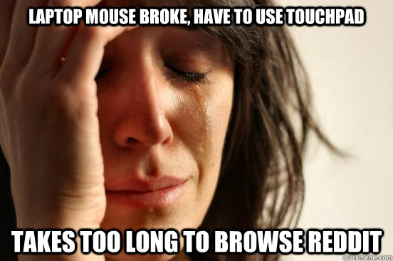 laptop mouse broke, have to use touchpad takes too long to browse reddit  First World Problems