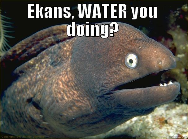 EKANS, WATER YOU DOING?  Bad Joke Eel