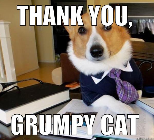 Thank you, Grumpy cat - THANK YOU, GRUMPY CAT Lawyer Dog