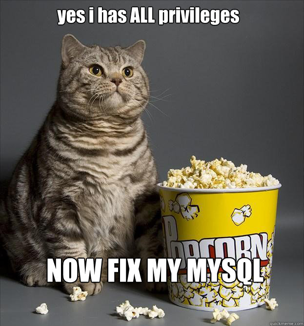 yes i has ALL privileges NOW FIX MY MYSQL  Critic Cat