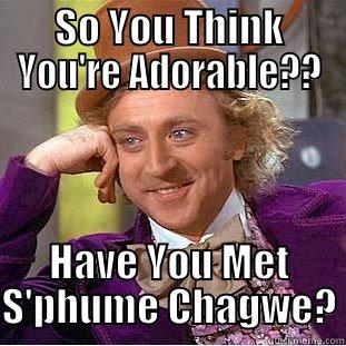 SO YOU THINK YOU'RE ADORABLE?? HAVE YOU MET S'PHUME CHAGWE? Condescending Wonka