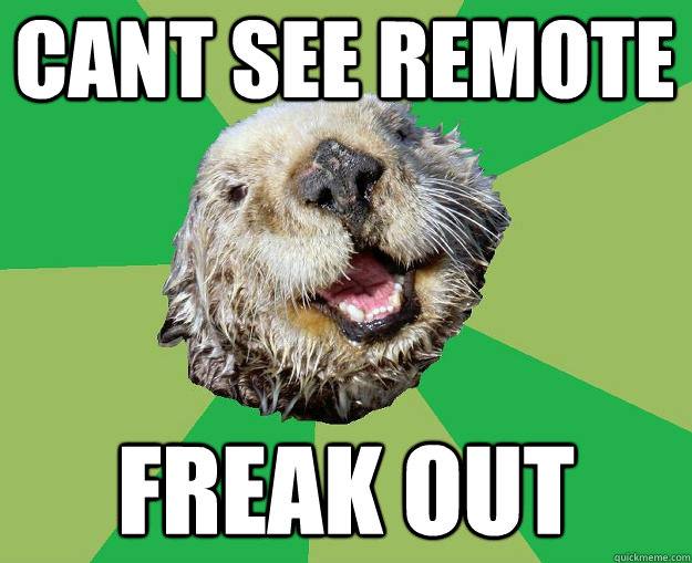 Cant see remote Freak out  OCD Otter