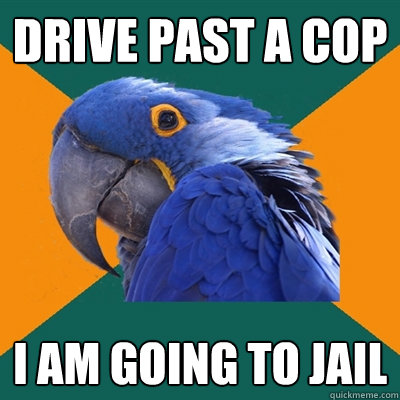 Drive past a cop I am going to jail  Paranoid Parrot