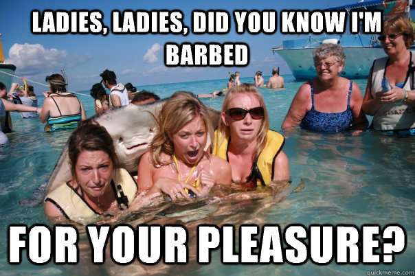 Ladies, ladies, did you know I'm barbed For your pleasure?  Pervert Stingray