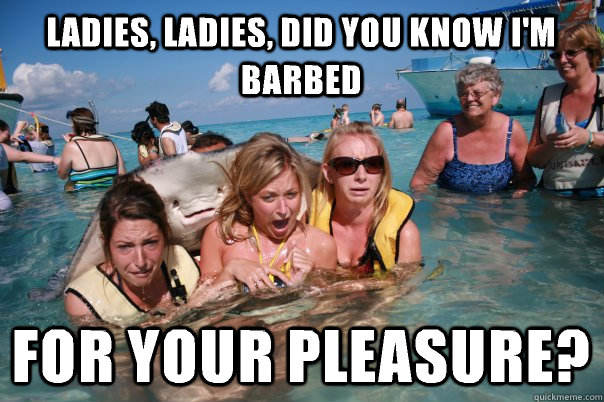 Ladies, ladies, did you know I'm barbed For your pleasure? - Ladies, ladies, did you know I'm barbed For your pleasure?  Pervert Stingray