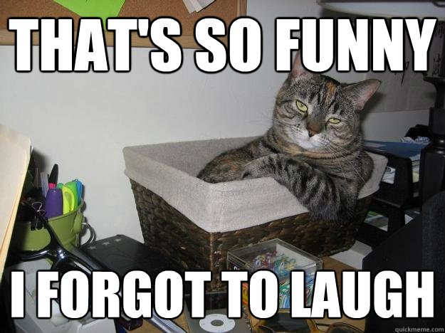 That's so funny i forgot to laugh - That's so funny i forgot to laugh  Caustic Cat