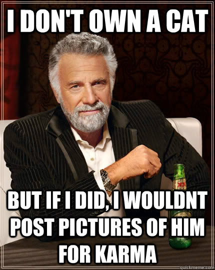 I don't own a cat But if I did, i wouldnt post pictures of him for karma   The Most Interesting Man In The World