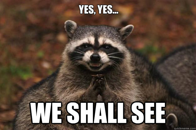 yes, yes... we shall see  Evil Plotting Raccoon