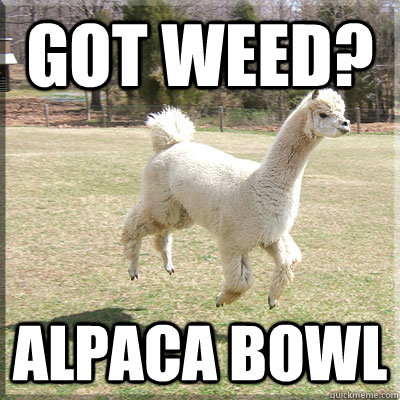 Got weed? Alpaca bowl   