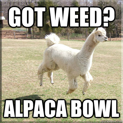 Got weed? Alpaca bowl  - Got weed? Alpaca bowl   Alpaca bowl