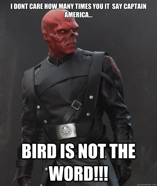 I dont care HOW MANY TIMES YOU IT  say Captain aMERICA... BIRD IS NOT THE WORD!!!  Grammar Nazi Red Skull