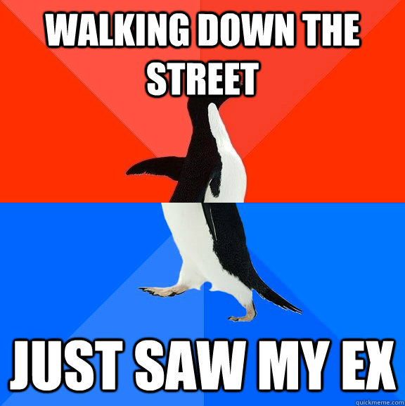 walking down the street just saw my ex  Socially Awesome Awkward Penguin