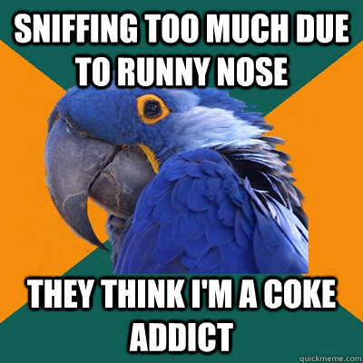 sniffing too much due to runny nose They think i'm a coke addict - sniffing too much due to runny nose They think i'm a coke addict  Paranoid Parrot