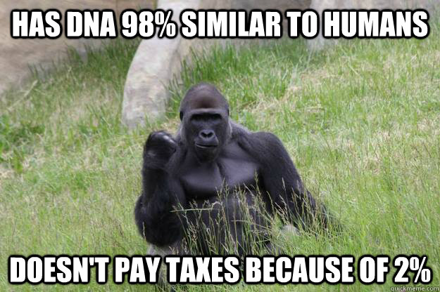 Has DNA 98% similar to Humans Doesn't pay taxes because of 2%  Success Gorilla