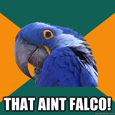  THAT AINT FALCO!  Paranoid Parrot