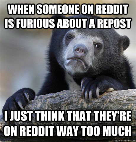 WHEN SOMEONE ON REDDIT IS FURIOUS ABOUT A REPOST I JUST THINK THAT THEY'RE ON REDDIT WAY TOO MUCH - WHEN SOMEONE ON REDDIT IS FURIOUS ABOUT A REPOST I JUST THINK THAT THEY'RE ON REDDIT WAY TOO MUCH  Confession Bear