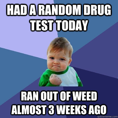 Had a random drug test today Ran out of weed almost 3 weeks ago  Success Kid