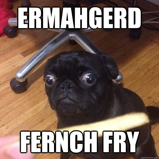 ermahgerd fernch fry - ermahgerd fernch fry  Misc