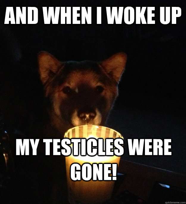 and when i woke up my testicles were gone!  Scary Story Dog