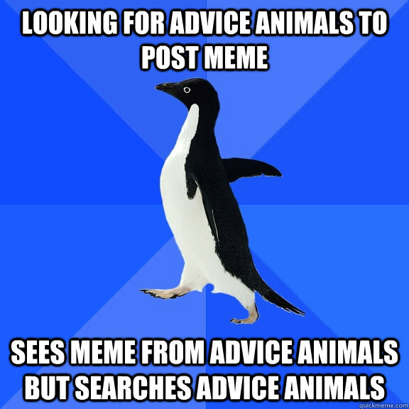 Looking for advice animals to post meme Sees meme from advice animals but searches advice animals  Socially Awkward Penguin