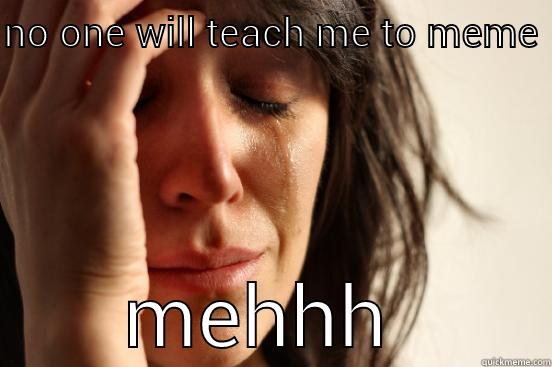 NO ONE WILL TEACH ME TO MEME  MEHHH  First World Problems