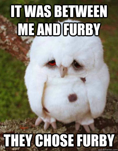 it was between me and furby they chose furby  