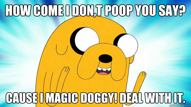 how come i don,t poop you say? cause i magic doggy! deal with it.   Jake The Dog