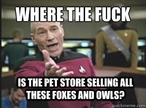 WHere THE FUCK is the pet store selling all these foxes and owls?  Annoyed Picard