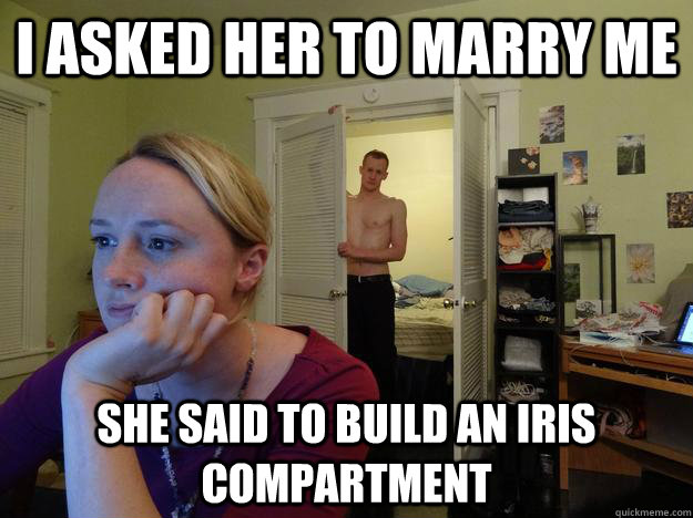 I asked her to marry me  she said to build an iris compartment  Redditors Husband