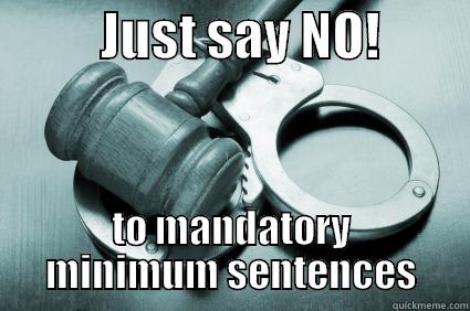           JUST SAY NO!          TO MANDATORY MINIMUM SENTENCES Misc
