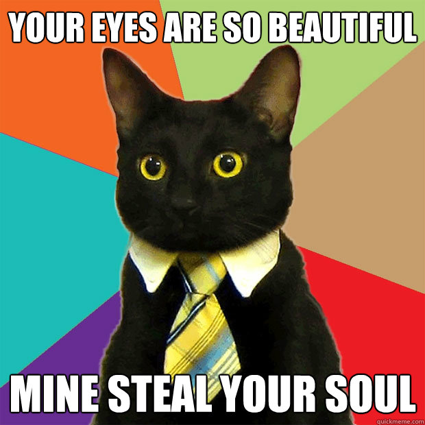 Your eyes are so beautiful mine steal your soul  Business Cat