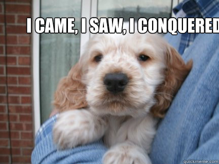 I came, I saw, I conquered - I came, I saw, I conquered  Caesar Dog