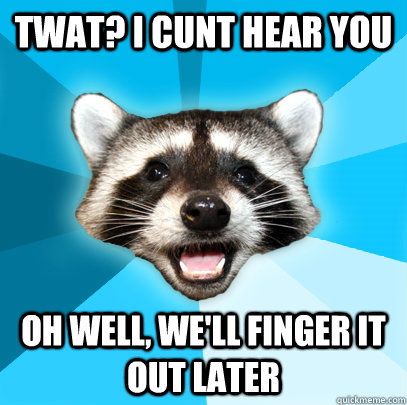 TWAT? I CUNT HEAR YOU OH WELL, WE'LL FINGER IT OUT LATER  Lame Pun Coon