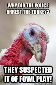 Why Did the police arrest the turkey?

 They suspected it of fowl play! - Why Did the police arrest the turkey?

 They suspected it of fowl play!  BAd Joke Bird