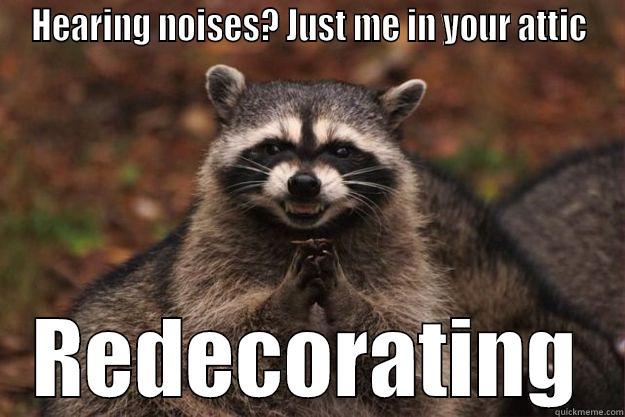 HEARING NOISES? JUST ME IN YOUR ATTIC REDECORATING Evil Plotting Raccoon