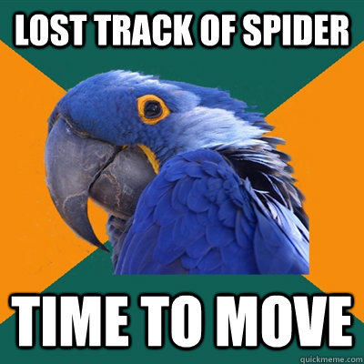 lost track of spider time to move  Paranoid Parrot