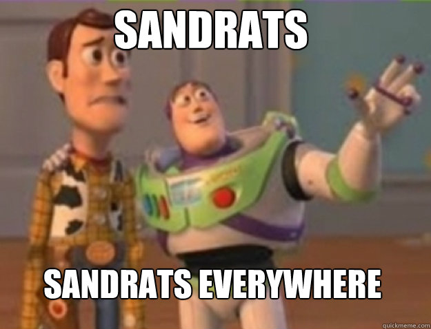 Sandrats sandrats Everywhere - Sandrats sandrats Everywhere  Misc
