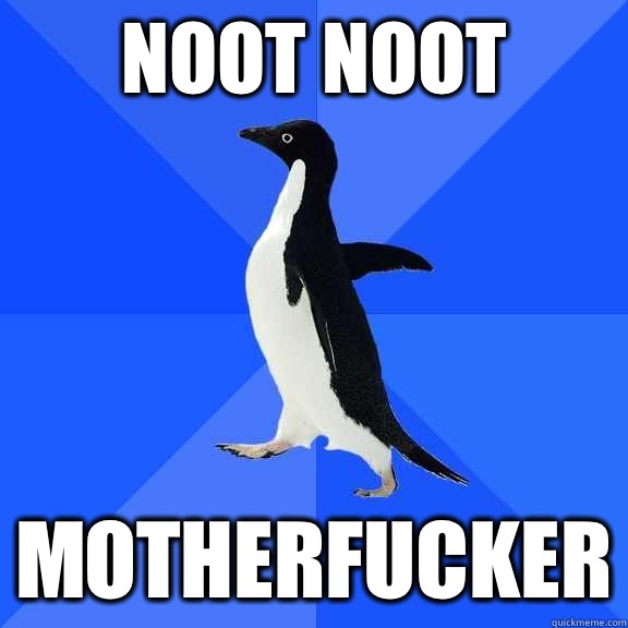 NOOT NOOT MOTHERFUCKER  Socially Awkward Penguin