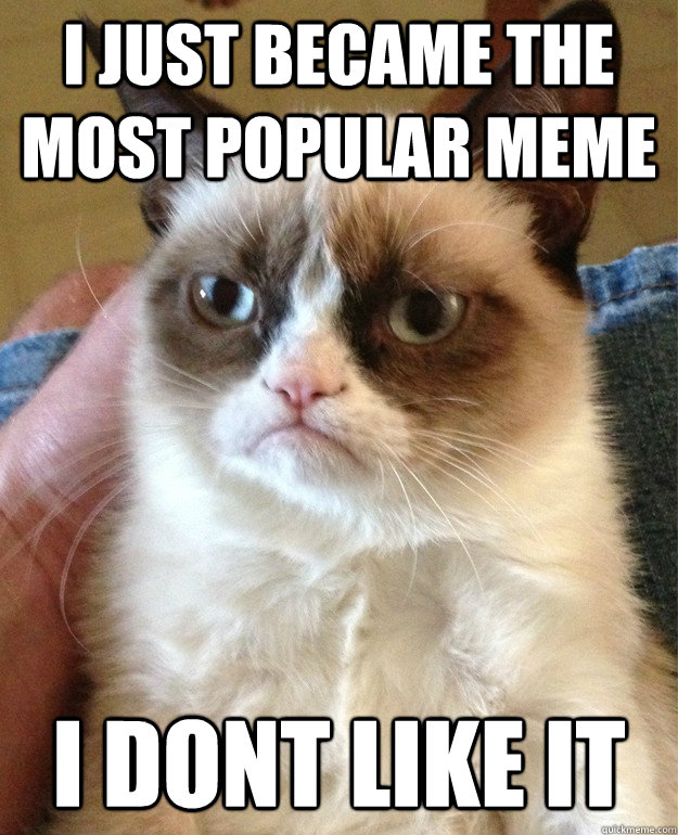 i just became the most popular meme i dont like it  Grumpy Cat