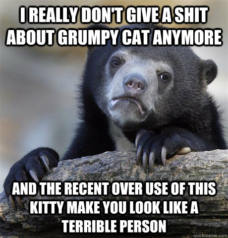 I really don't give a shit about grumpy cat anymore and the recent over use of this kitty make you look like a terrible person  Confession Bear