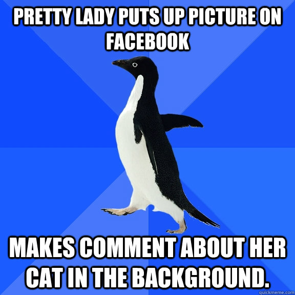 Pretty lady puts up picture on Facebook makes comment about her cat in the background.   Socially Awkward Penguin
