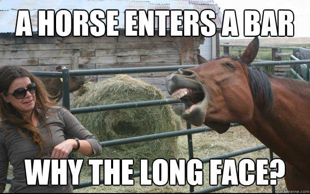 A HORSE ENTERS A BAR WHY THE LONG FACE? - A HORSE ENTERS A BAR WHY THE LONG FACE?  Hysterical Horse