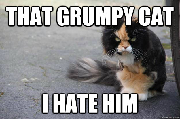 That Grumpy Cat I Hate Him  Angry Cat