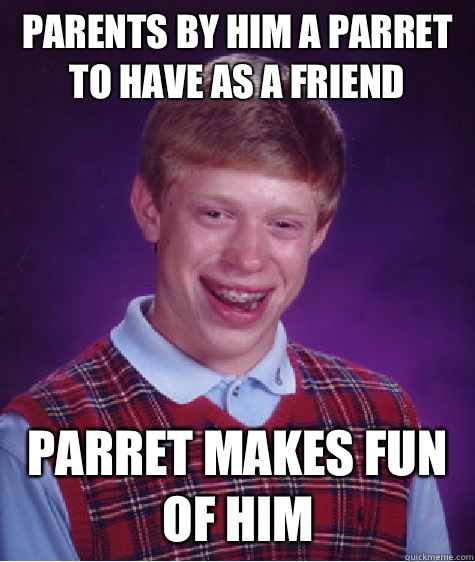 Parents by him a parret to have as a friend Parret makes fun of him  Bad Luck Brian