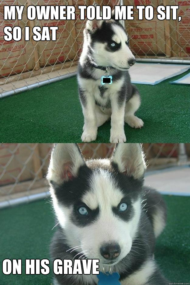 My owner told me to sit, so I sat on his grave  Insanity puppy