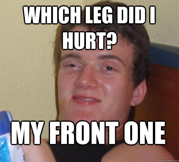 which leg did i hurt? my front one  10 Guy