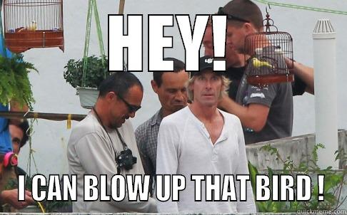 HEY! I CAN BLOW UP THAT BIRD ! Misc