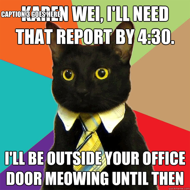 Karen Wei, i'll need that report by 4:30. I'll be outside your office door meowing until then Caption 3 goes here  Business Cat