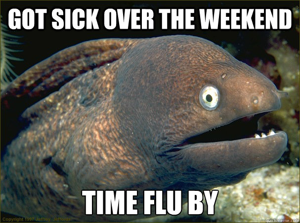 got sick over the weekend time flu by - got sick over the weekend time flu by  Bad Joke Eel