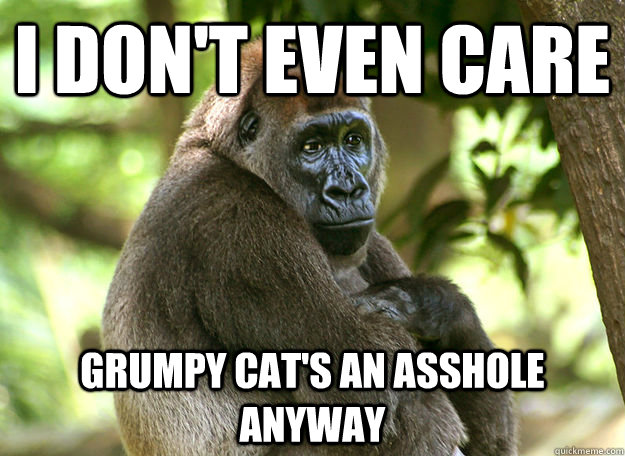 I don't even care Grumpy cat's an asshole anyway  